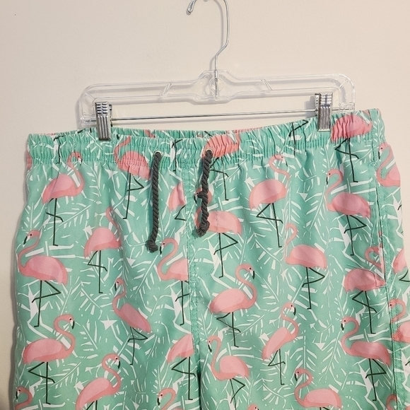 Ingear Swim | Boys' Pink and Green Flamingo Print Swimming Trunks (Size XXL) - Picture 3 of 14